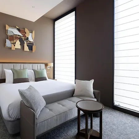 Hotel The Celestine Ginza-3