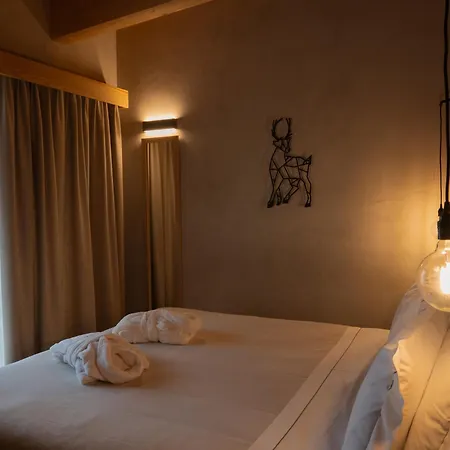 Au Charmant Petit Lac - Ecohotel Parc & Spa-2