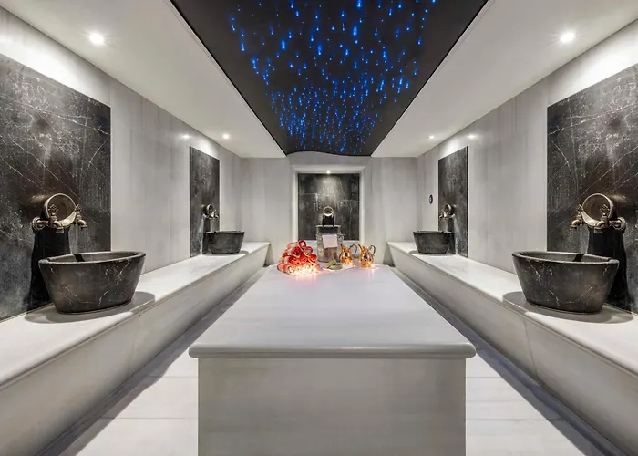 Hotel Ramada Plaza By Wyndham Istanbul Tekstilkent
